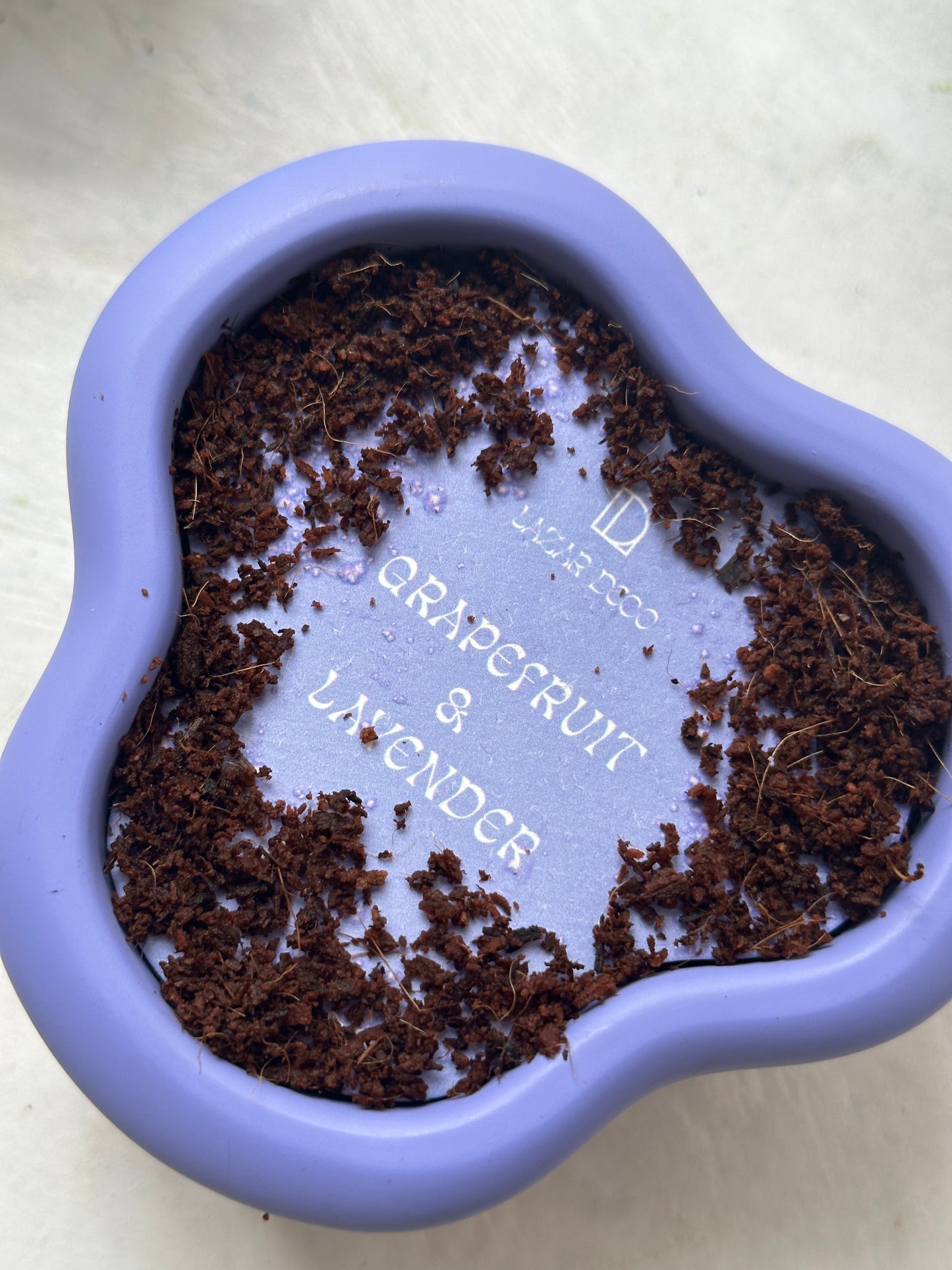 GRAPEFRUIT & LAVENDER