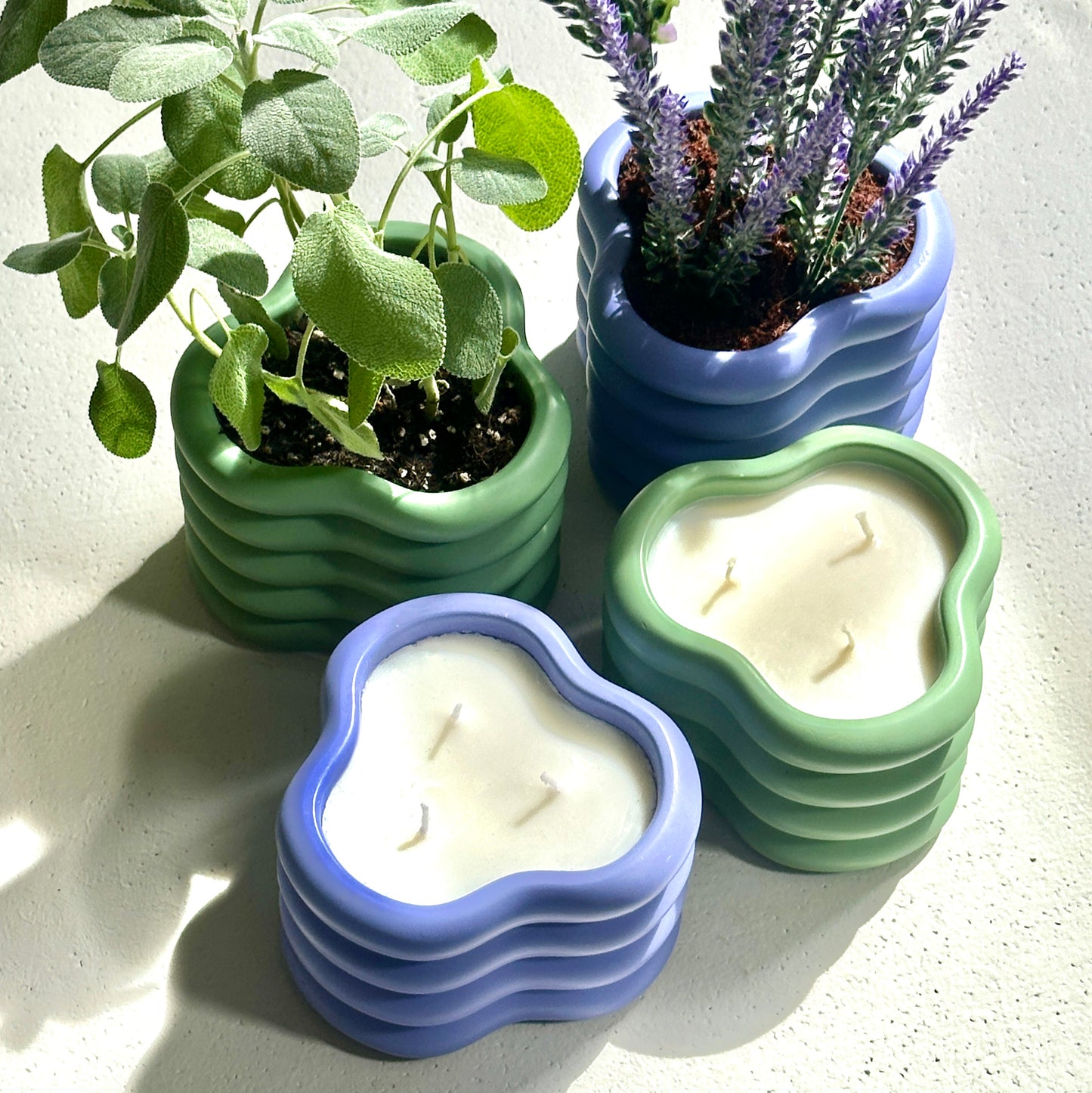 GRAPEFRUIT & LAVENDER