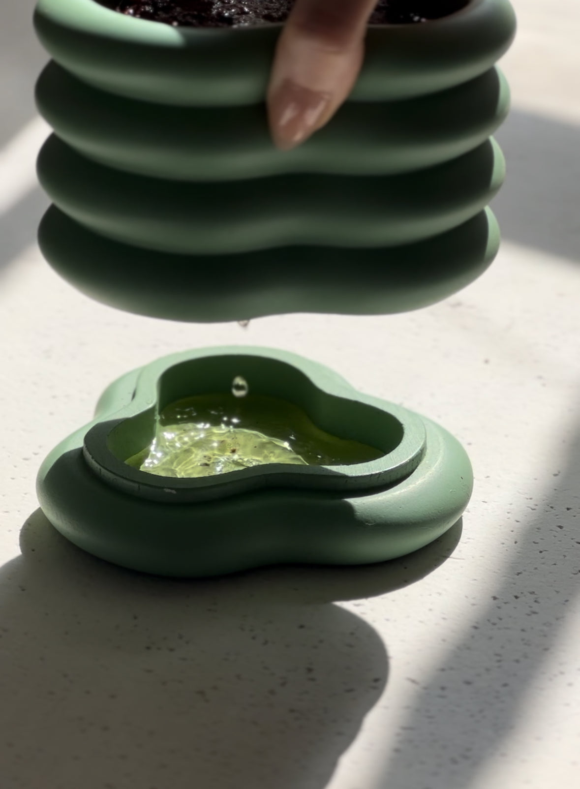 WHITE TEA & SAGE