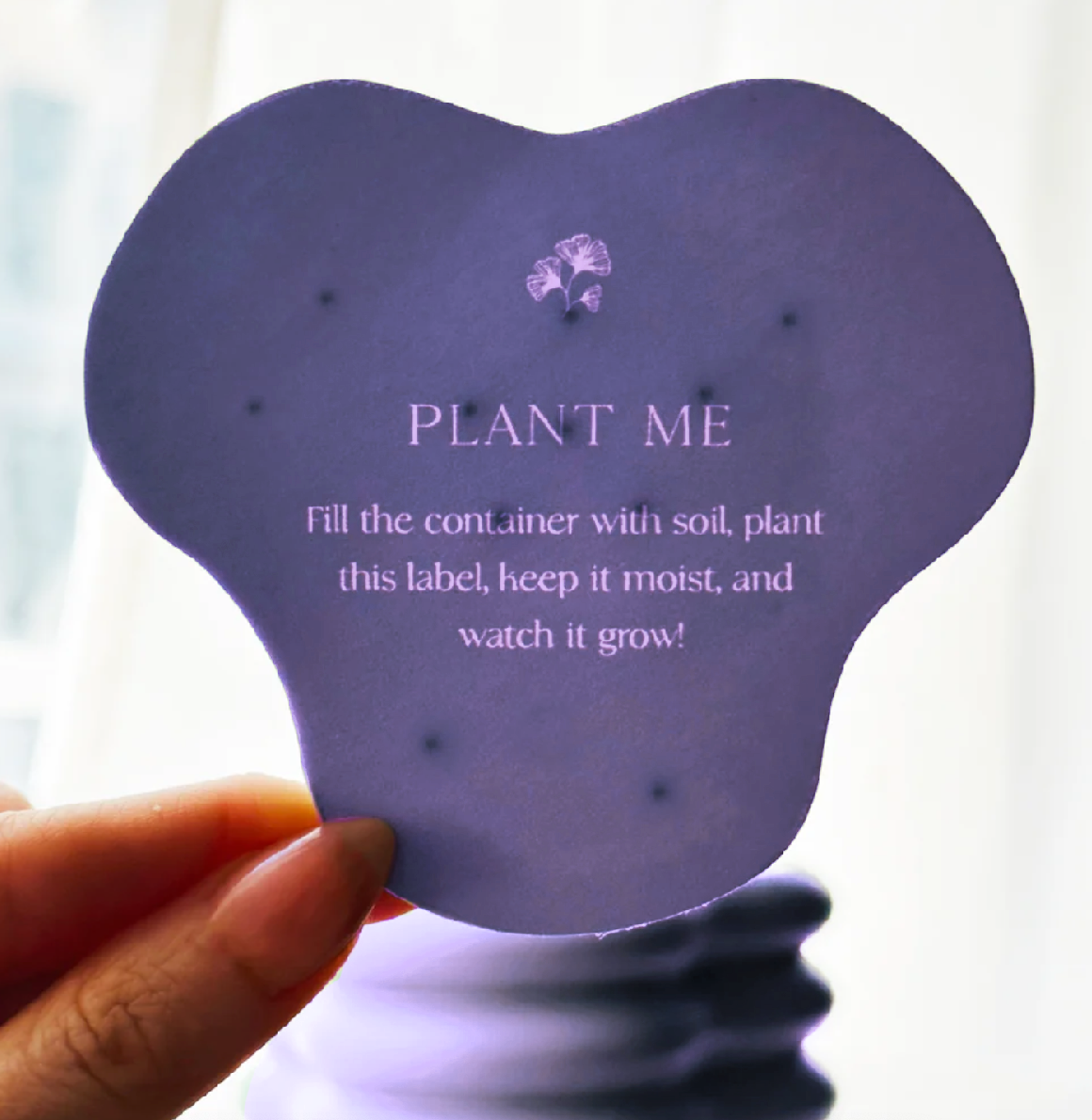 GRAPEFRUIT & LAVENDER