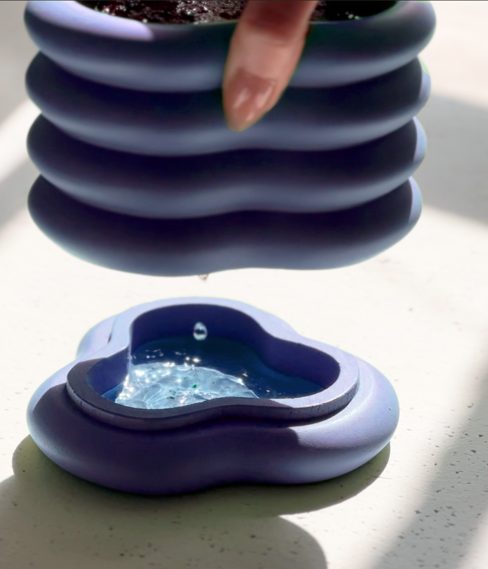 GRAPEFRUIT & LAVENDER