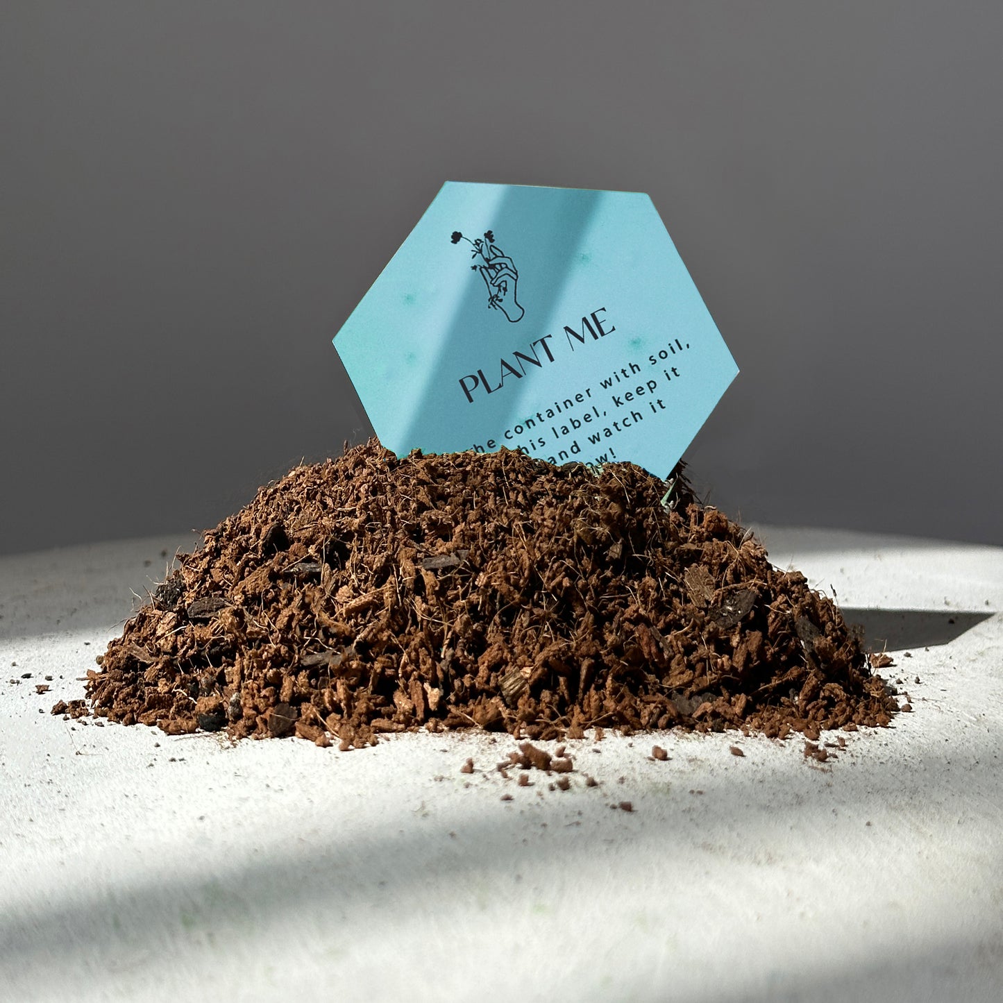 COCONUT MILK & YLANG YLANG