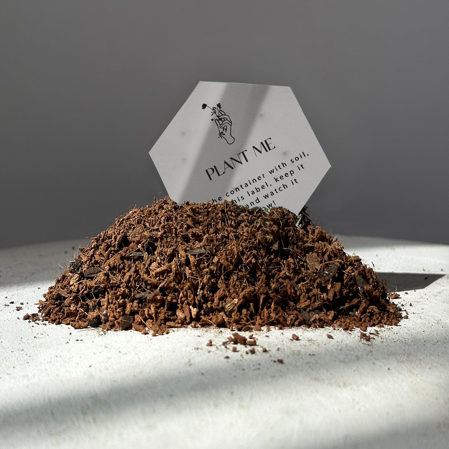 SANDALWOOD & BERGAMOT