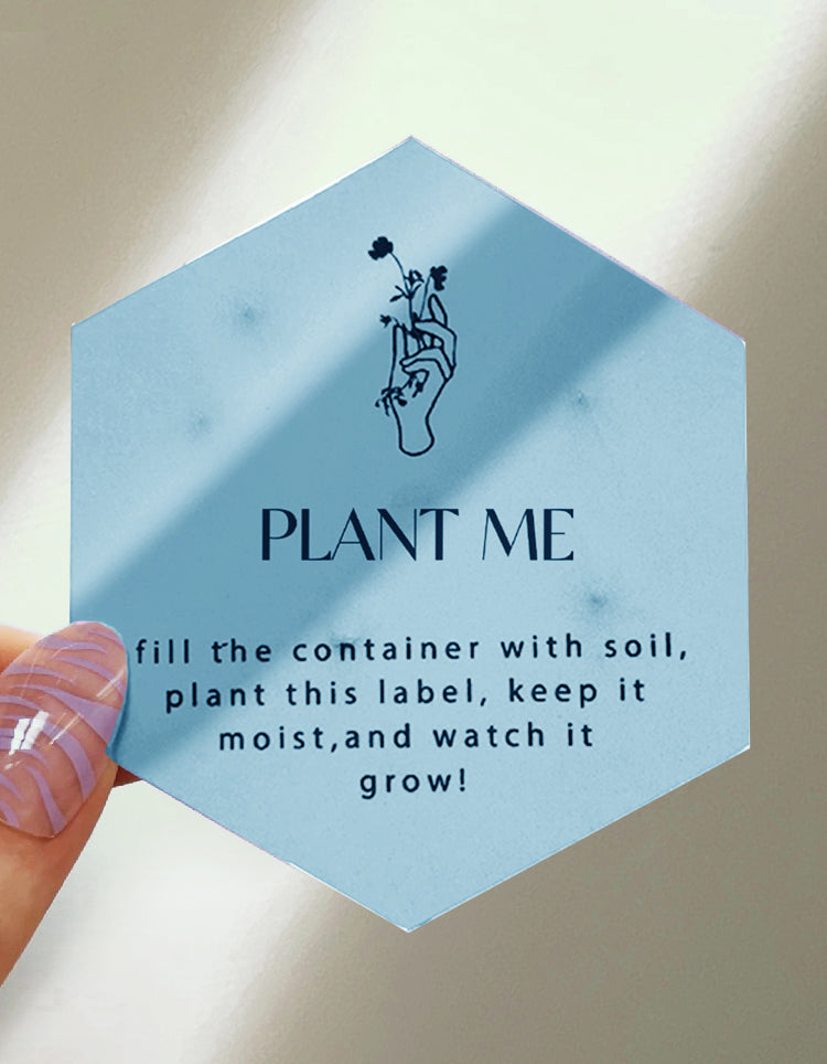 COCONUT MILK & YLANG YLANG