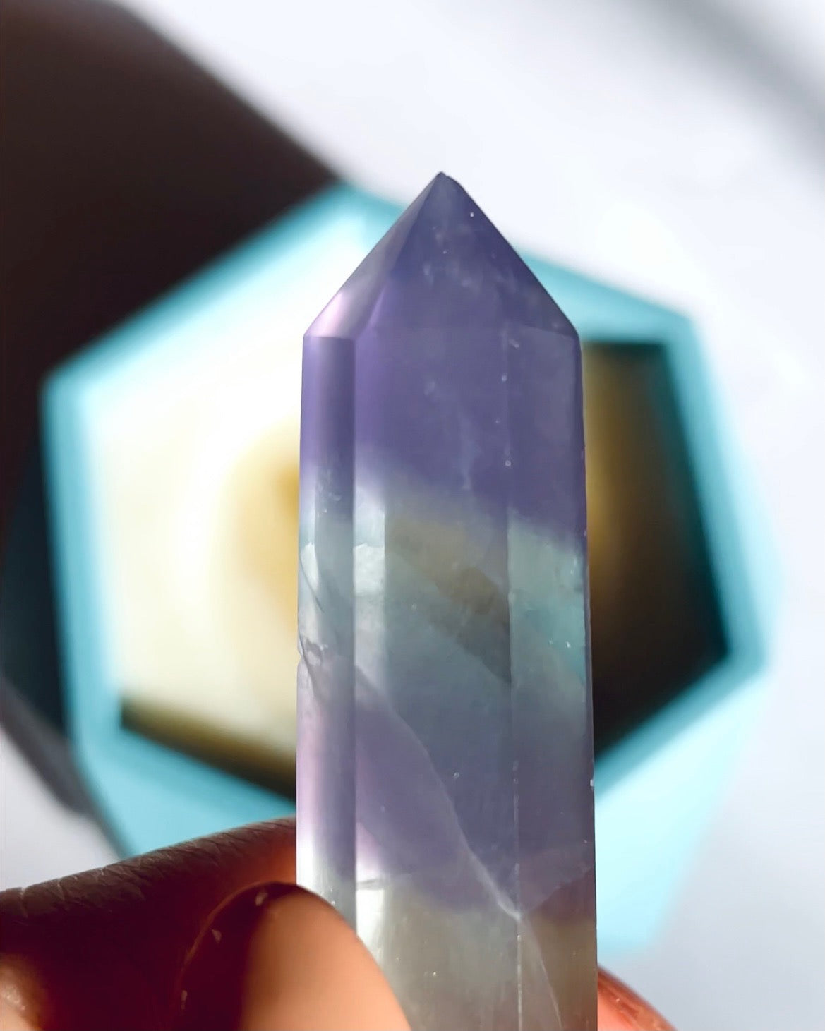 COCONUT MILK & YLANG YLANG