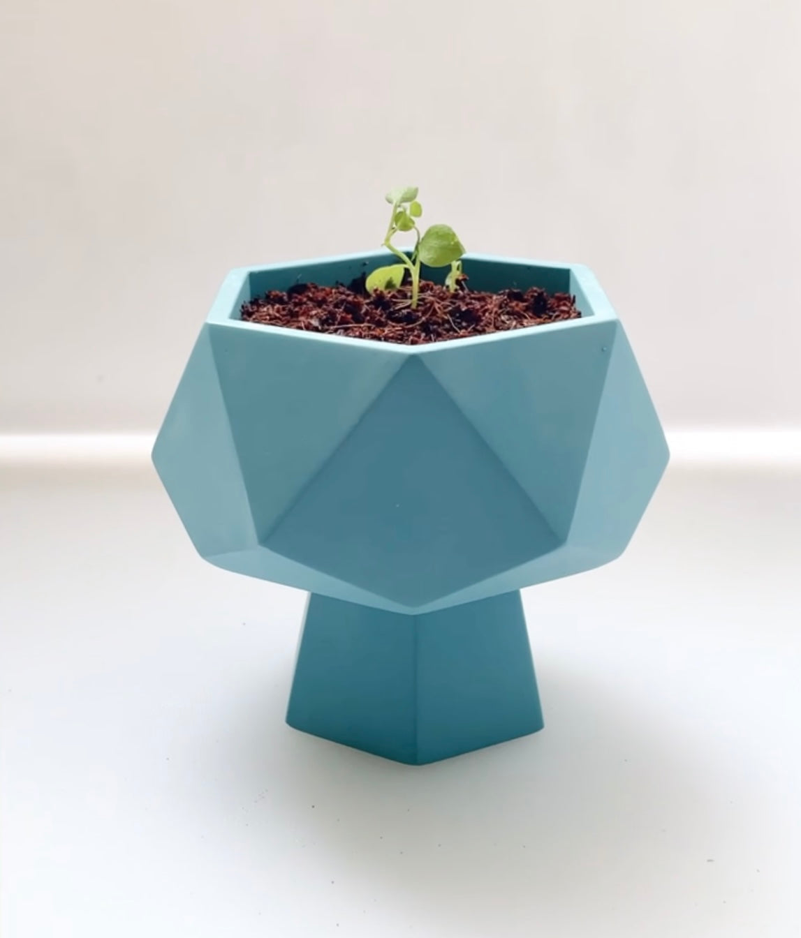 COCONUT MILK & YLANG YLANG