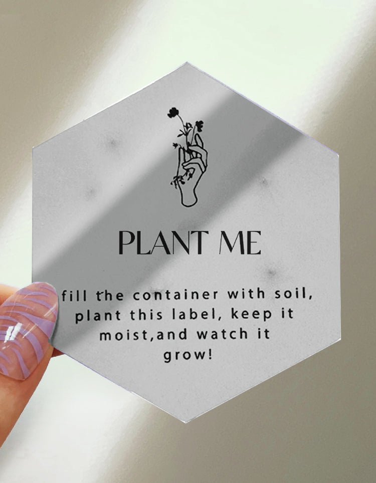 SANDALWOOD & BERGAMOT